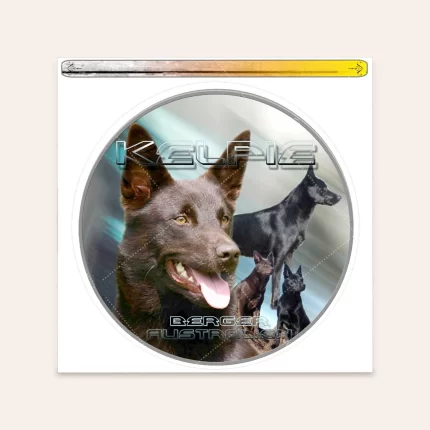 sticker Australian Kelpie