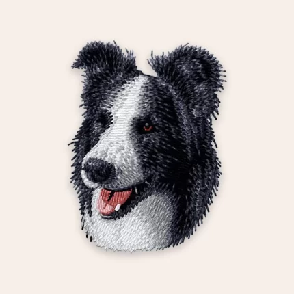 patch Border Collie