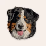 patch Berner Sennenhond