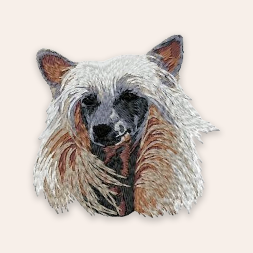 patch Chinese Naakthond patch Chinese Naakthond